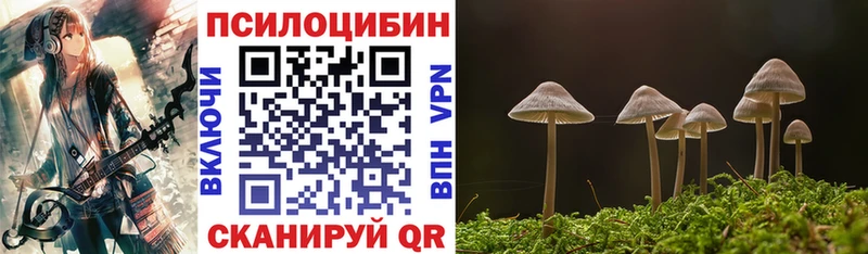 закладки  Петров Вал  kraken tor  Псилоцибиновые грибы прущие грибы 